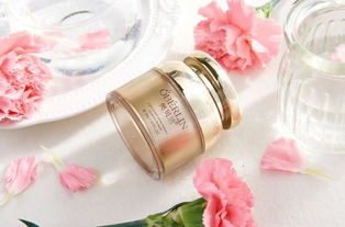 2018年全國十大化妝品與文化用品加盟店排行榜解析